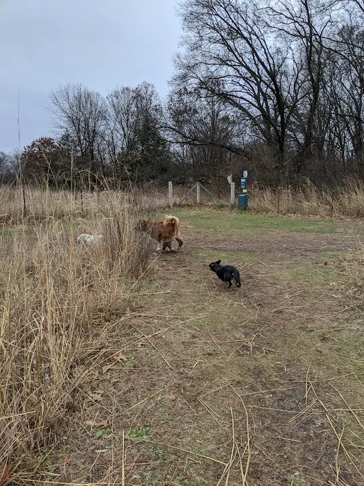 Spring Green Dog Park 9