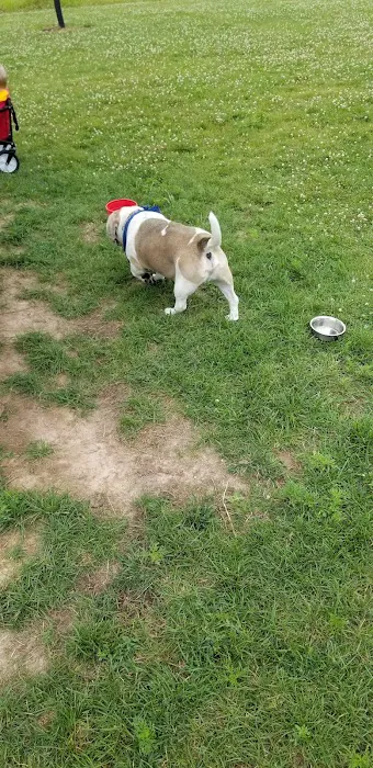 Mossakowski Family Dog Park 7