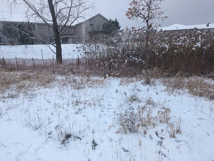 Mossakowski Family Dog Park 9