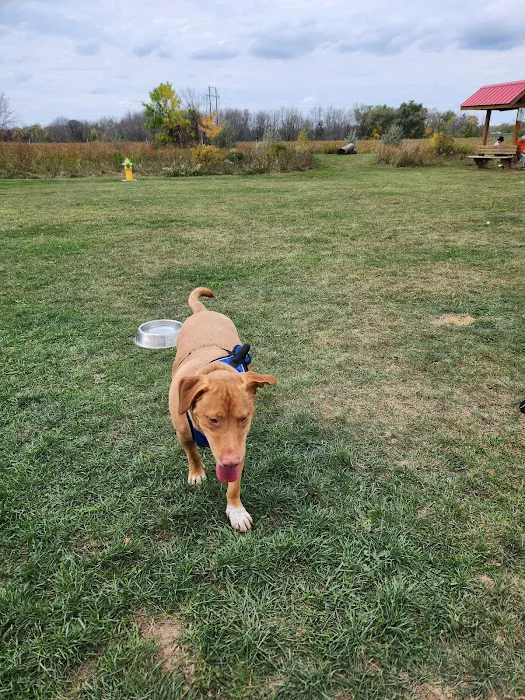 Mossakowski Family Dog Park 6