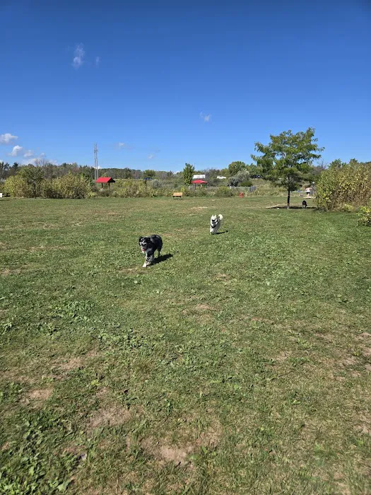 Mossakowski Family Dog Park 4