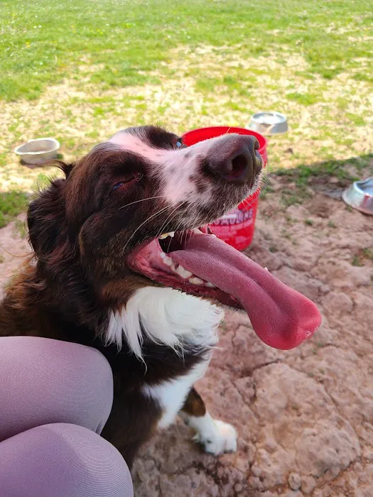 Mossakowski Family Dog Park 2