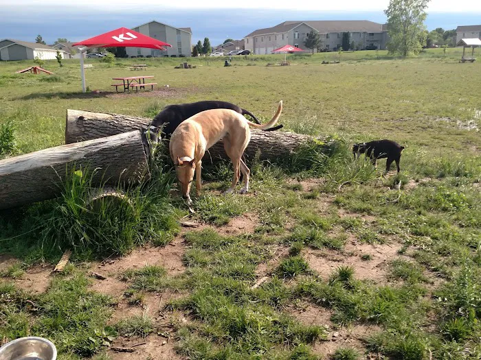 Mossakowski Family Dog Park 8