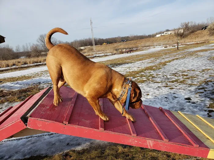 Mossakowski Family Dog Park 8