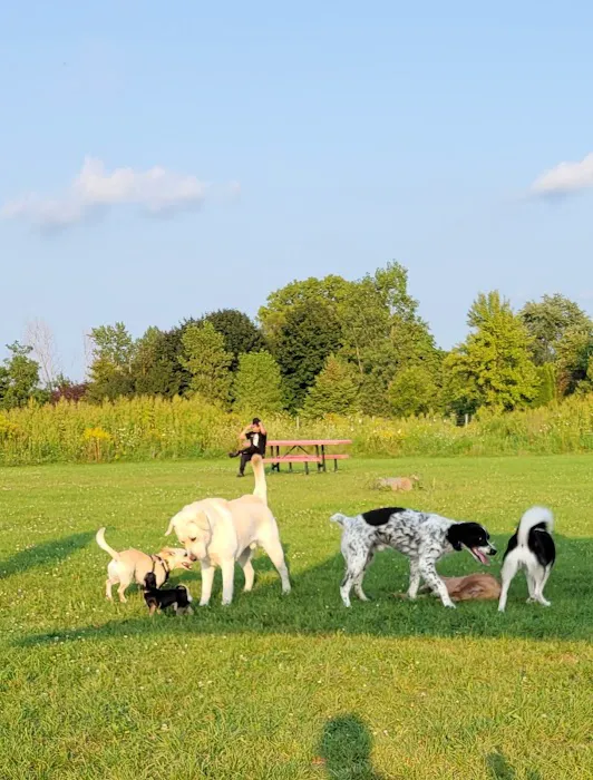 Mossakowski Family Dog Park 5