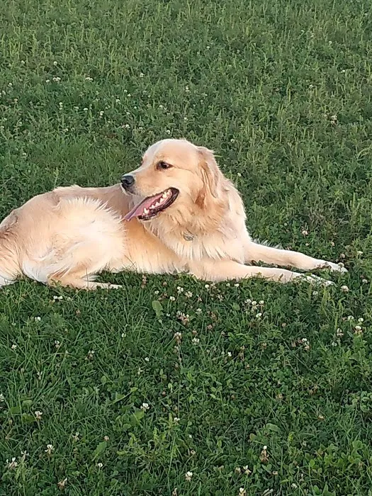 Mossakowski Family Dog Park 1
