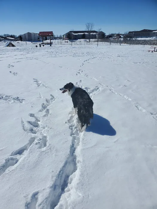 Mossakowski Family Dog Park 4