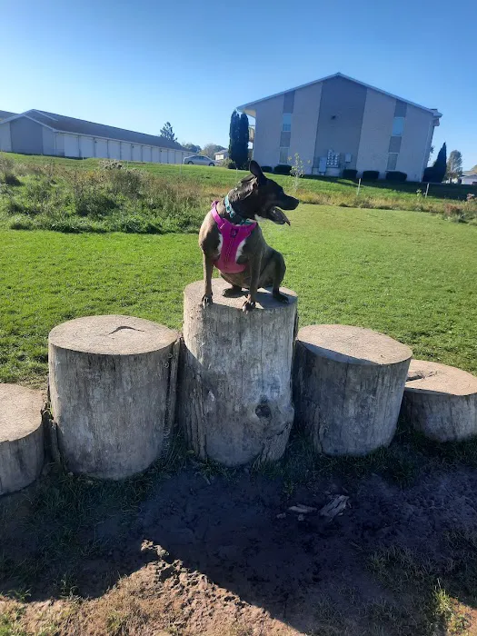 Mossakowski Family Dog Park 3