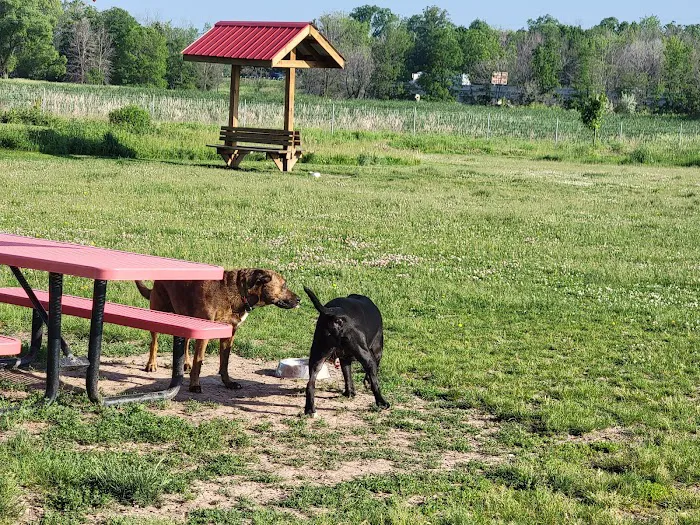 Mossakowski Family Dog Park 9