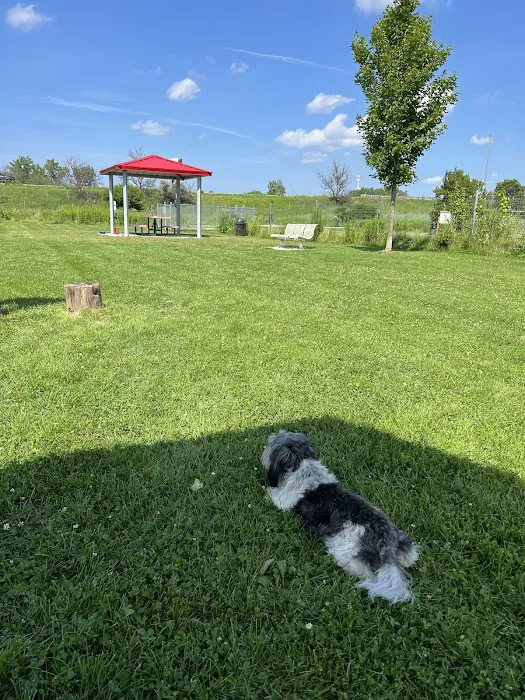 Mossakowski Family Dog Park 2