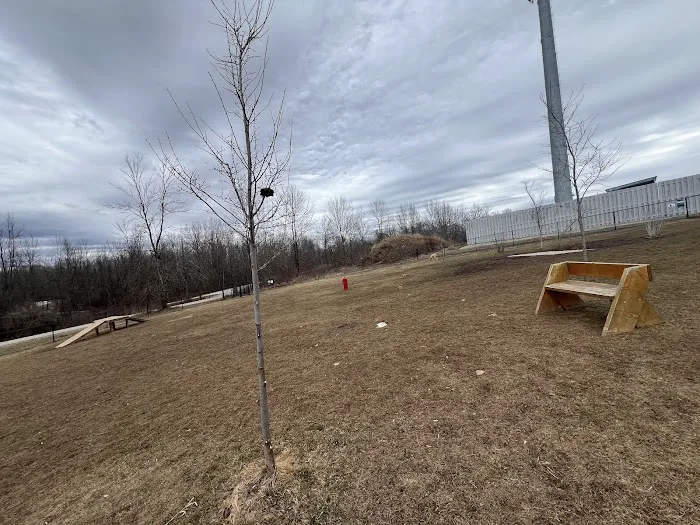 Howard Dog Park #2 1