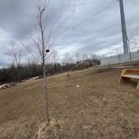 Howard Dog Park #2 ico