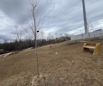 Howard Dog Park #2