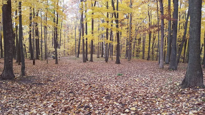 Howard Dog Park 8
