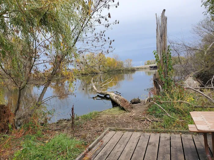 Howard Dog Park 10