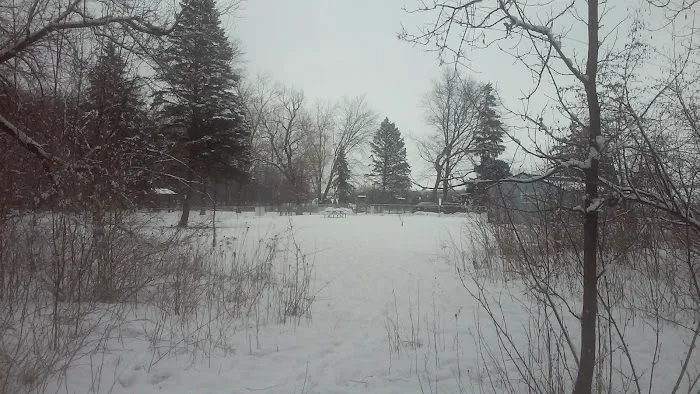 Howard Dog Park 3
