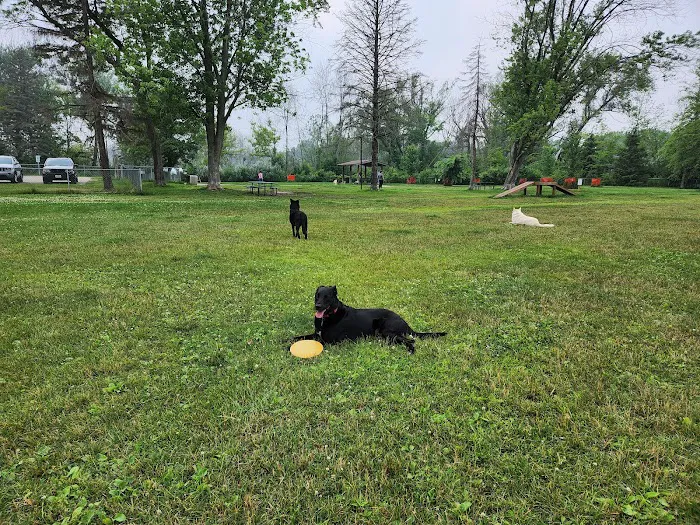 Howard Dog Park 6