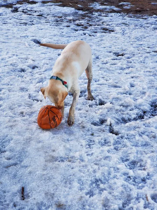 Howard Dog Park 1