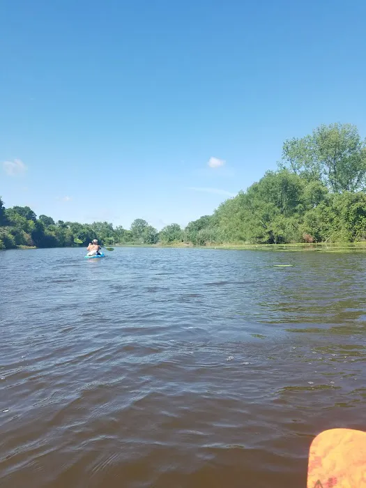 Howard Dog Park 9
