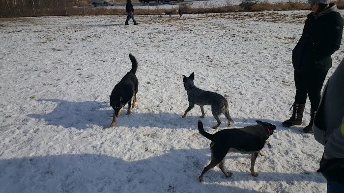 Howard Dog Park 4