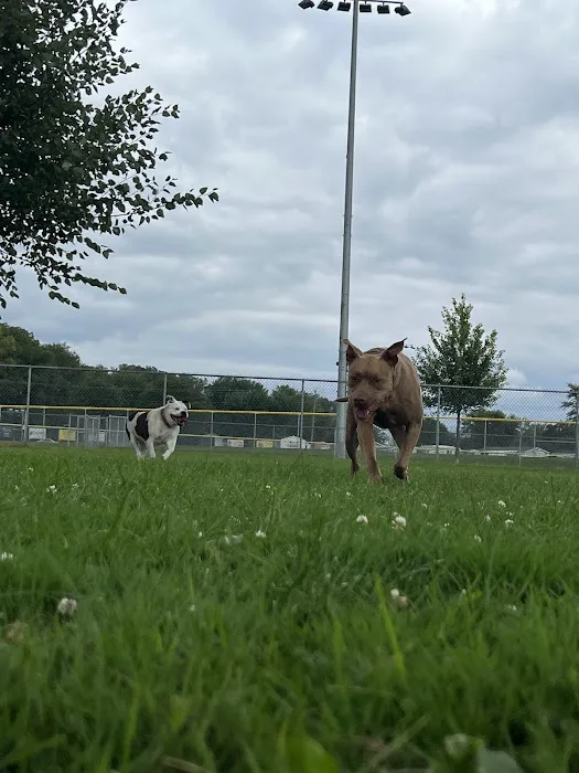 Fritz Port Dog Park 5