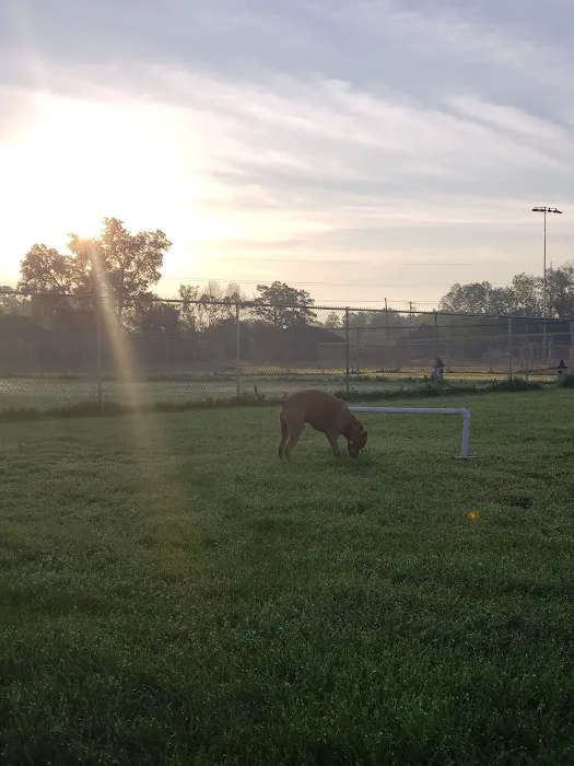 Fritz Port Dog Park 7
