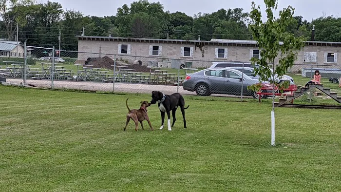 Fritz Port Dog Park 1