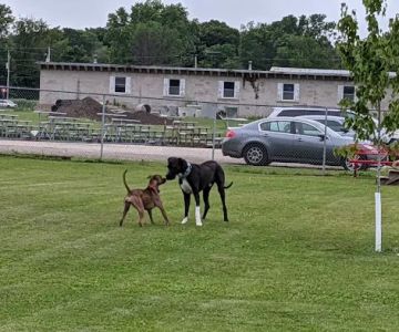 Fritz Port Dog Park