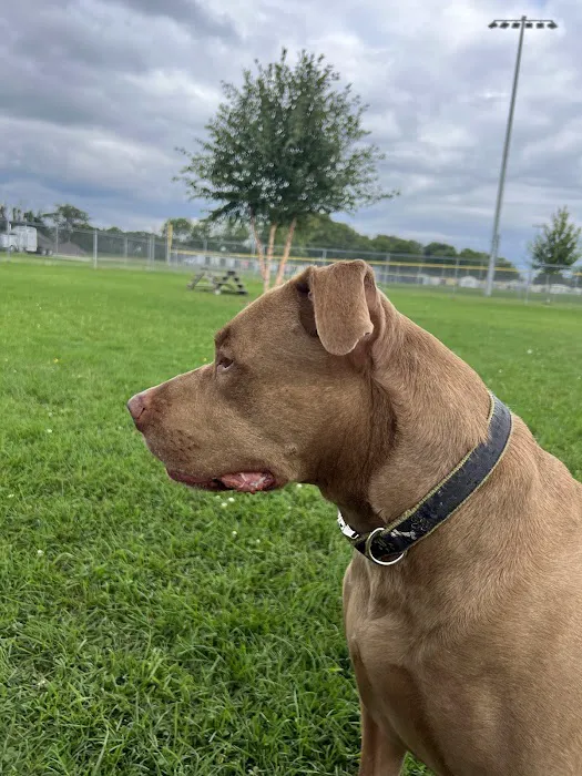 Fritz Port Dog Park 2