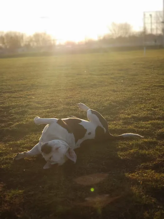 Fritz Port Dog Park 4
