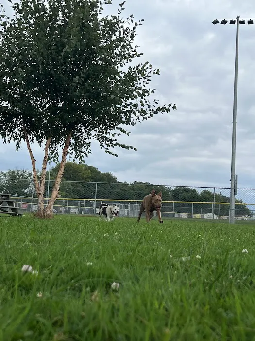Fritz Port Dog Park 6