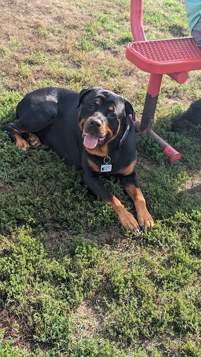 Fritz Port Dog Park 9