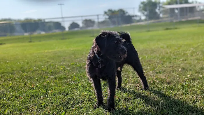 Fritz Port Dog Park 10