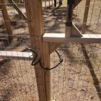 People and Paws Private Reserved Dog Play Park ico