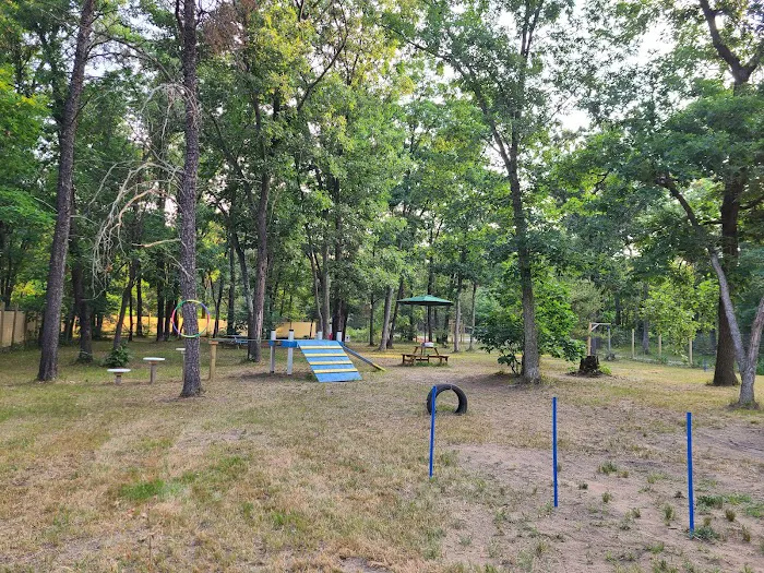 People and Paws Private Reserved Dog Play Park 5