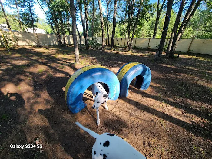 People and Paws Private Reserved Dog Play Park 8