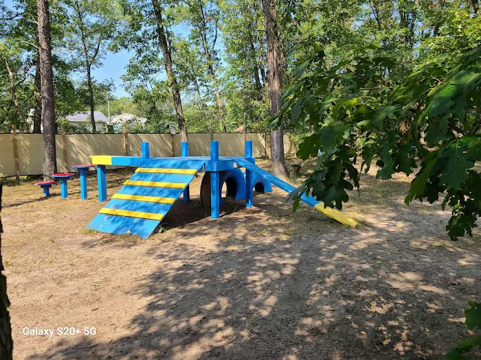 People and Paws Private Reserved Dog Play Park 7
