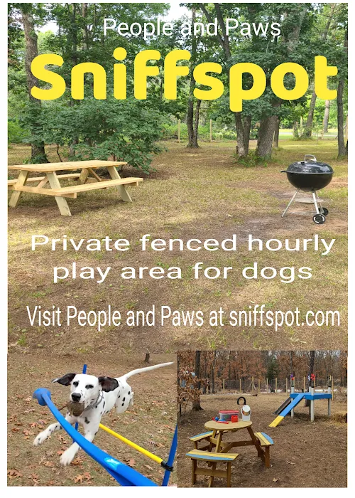 People and Paws Private Reserved Dog Play Park 9