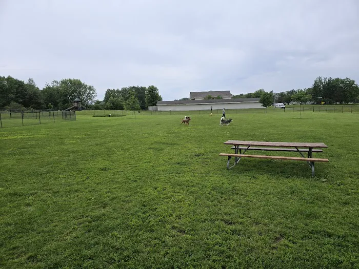 Mauston Dog Park 5