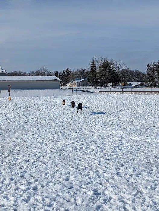 Mauston Dog Park 9
