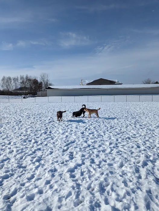 Mauston Dog Park 7