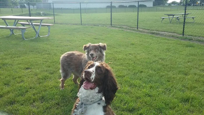 Mauston Dog Park 6