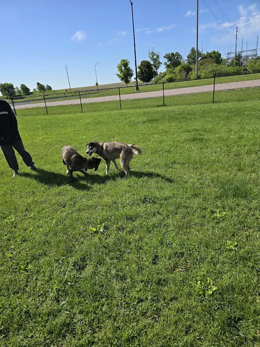 Mauston Dog Park 2