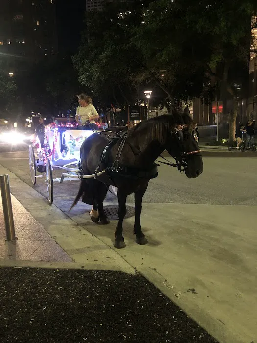 Discovery Green Dog Run 2