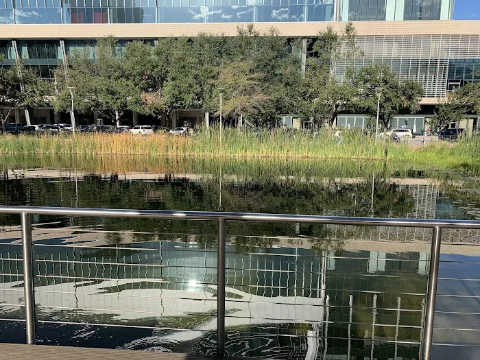 Discovery Green Dog Run 8