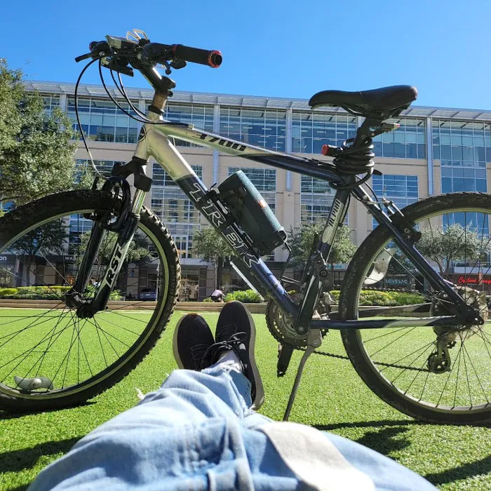Discovery Green Dog Run 9
