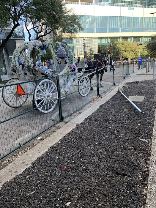 Discovery Green Dog Run 6