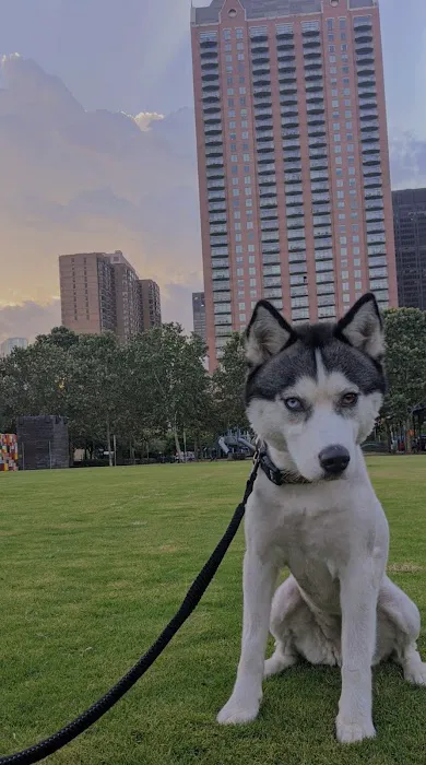 Discovery Green Dog Run 5
