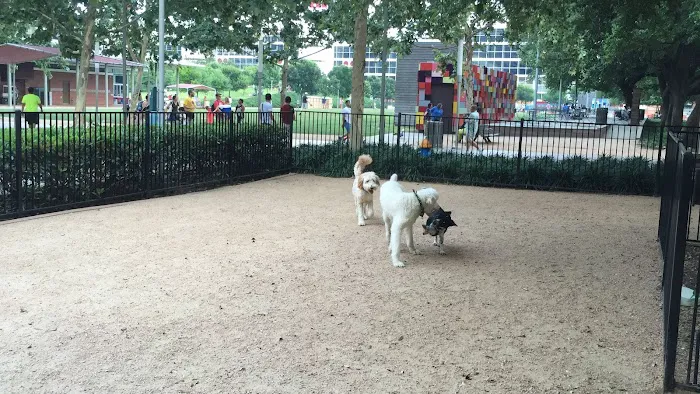 Discovery Green Dog Run 4