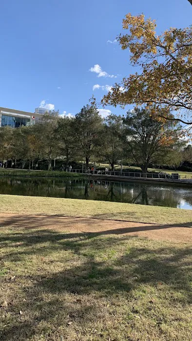 Discovery Green Dog Run 7